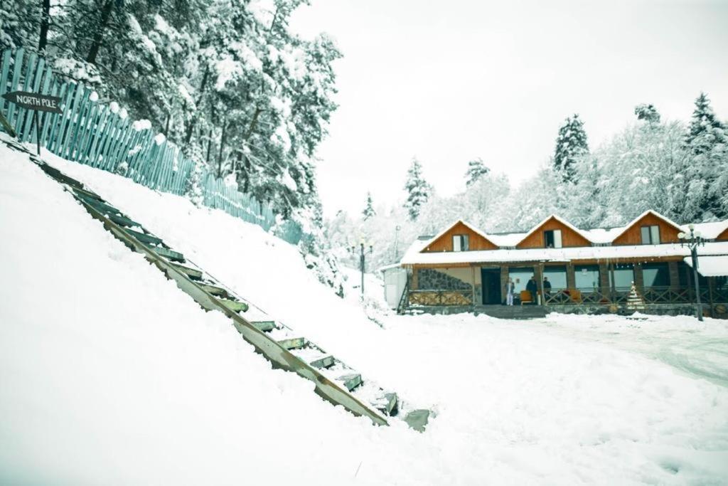 Hotel Eco House In Bakuriani Exterior photo